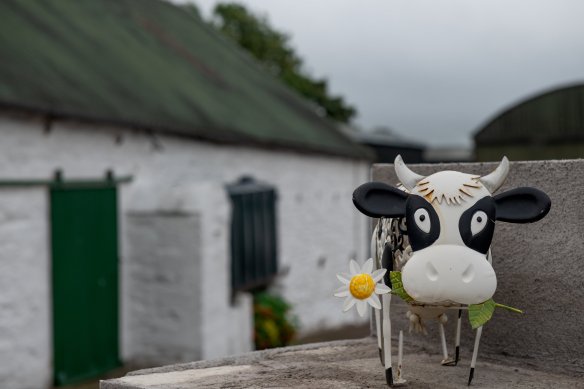 6+WHITECHURCH+Kevin86