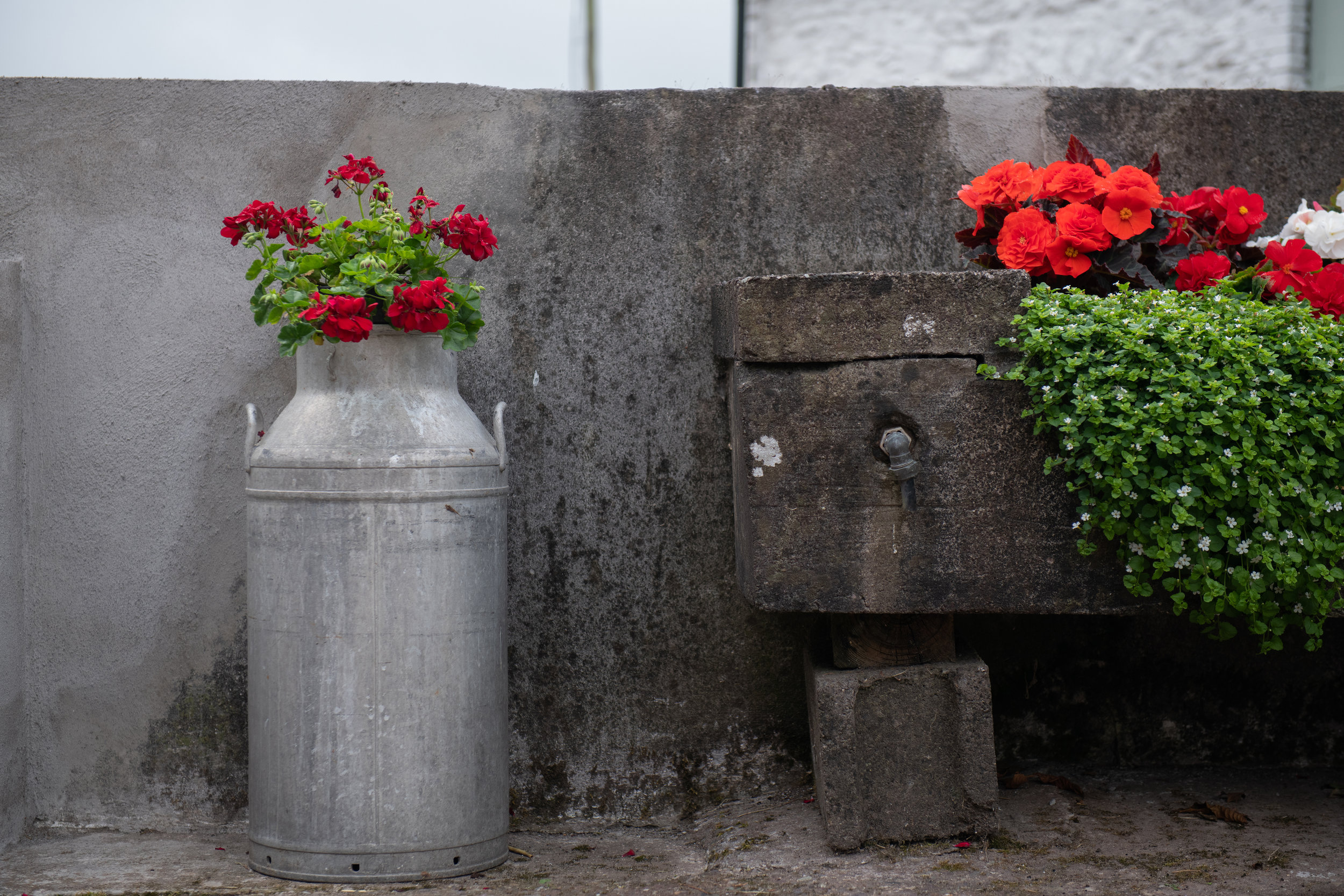 6+WHITECHURCH+Kevin87